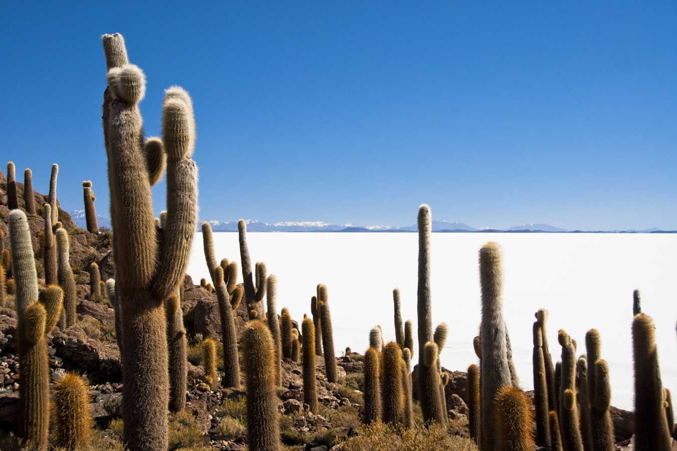 Salar de Uyuni - Bolivia in Depth