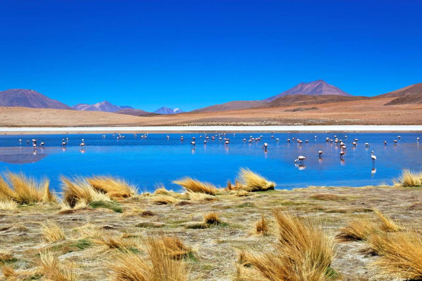 Altiplanic lagoons - High Adventure in the Bolivian Desert