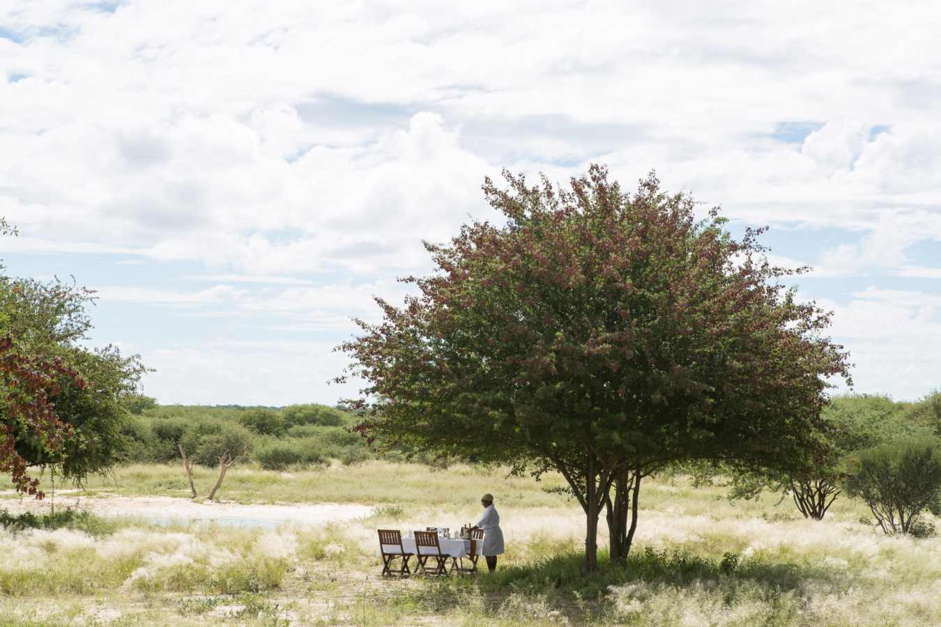 Bush Breakfast - Dinaka