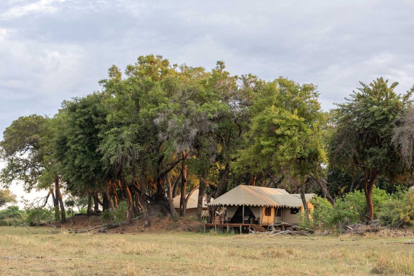 Guest tent exterior