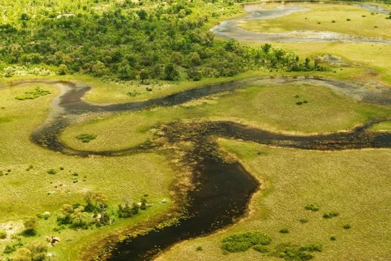 Waterways - Duba Plains
