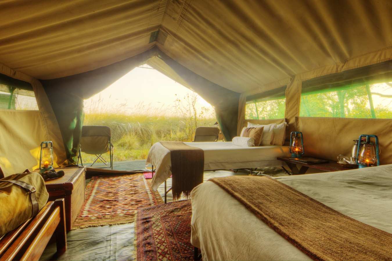 Footsteps Across the Delta 