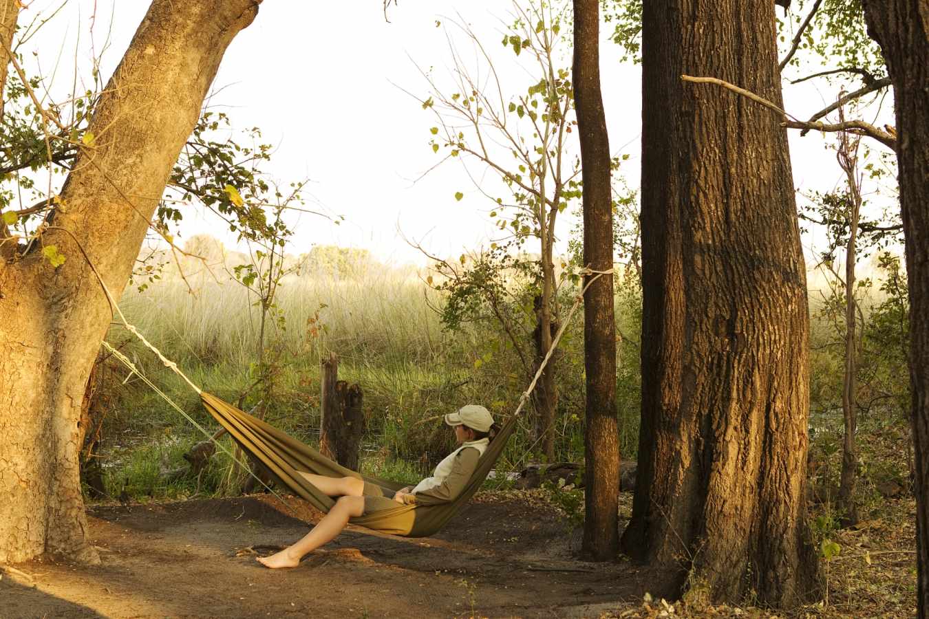 Footsteps Across the Delta 