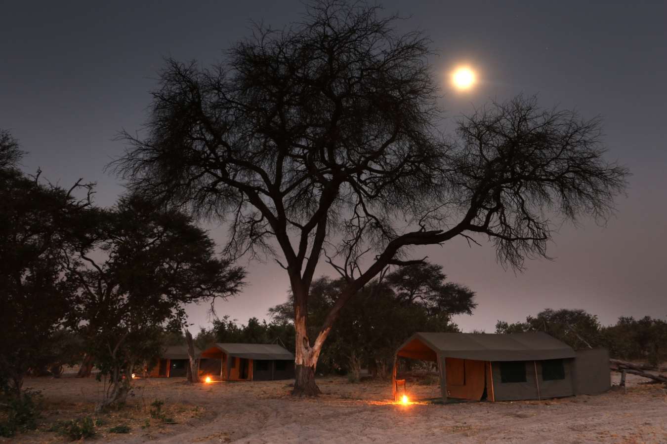 Evening in camp - Moremi
