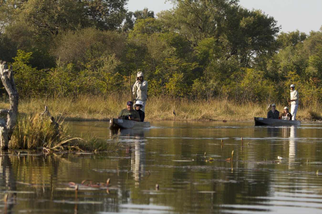 Explore in a traditional mokoro - Letaka Safaris