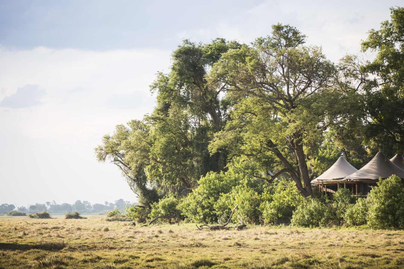 Exterior of tent - Little Mombo
