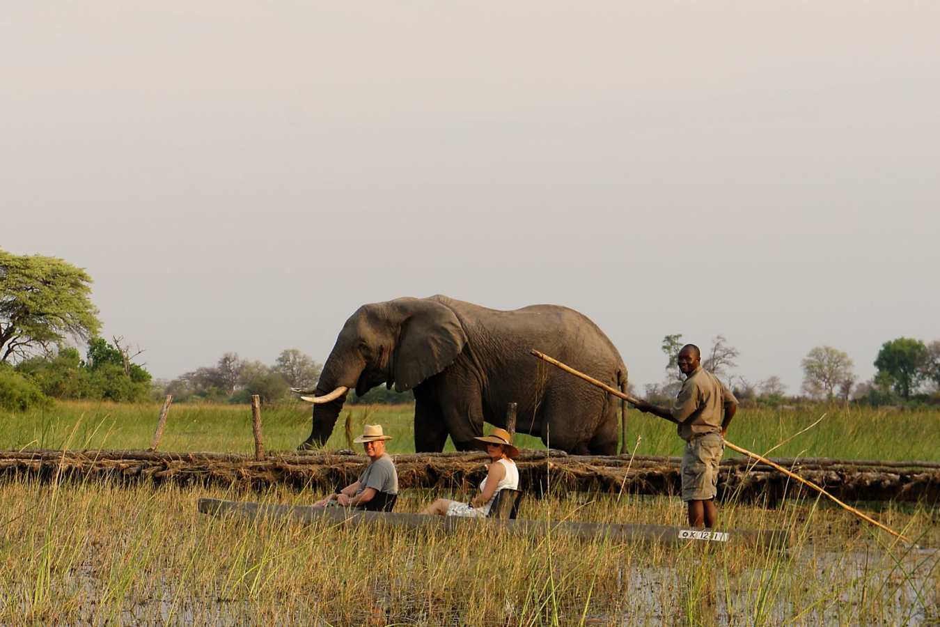 Mokoro - Macatoo Camp