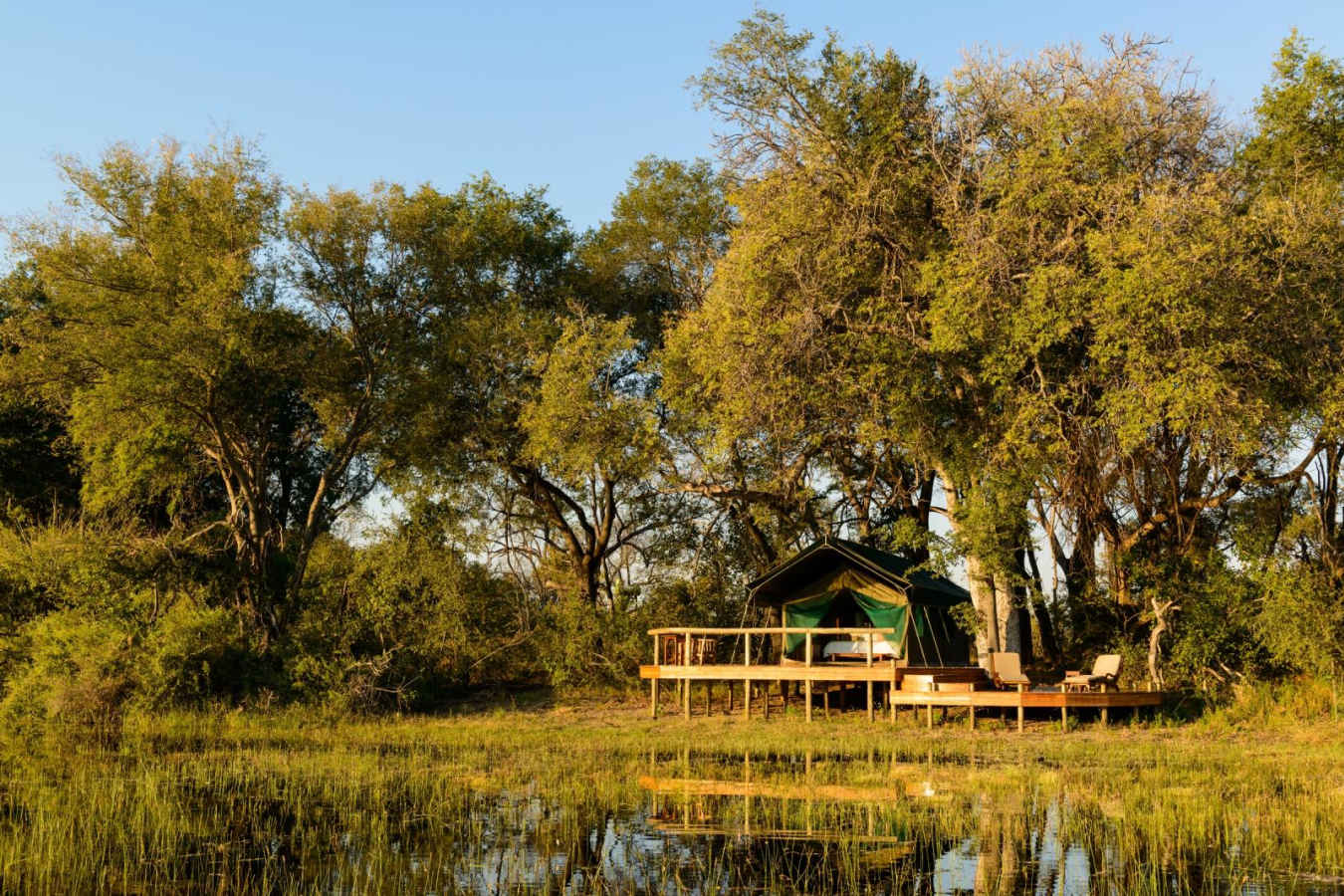 Tent - Macatoo Camp