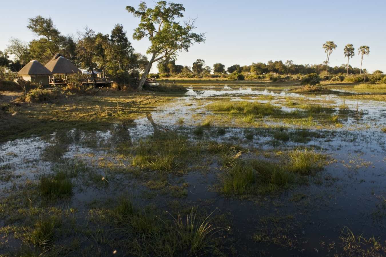 The flood waters reach Mombo Camp - Mombo Camp