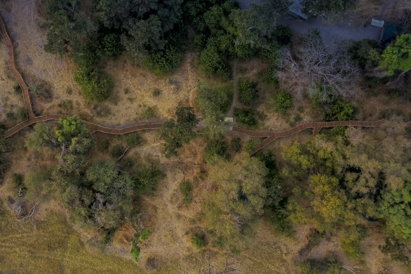 Aerial of paths  