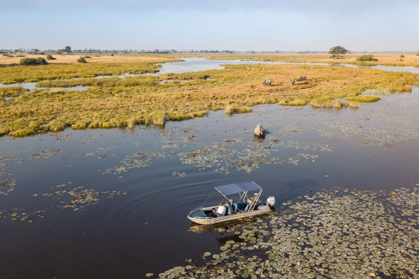 Boating in the Delta