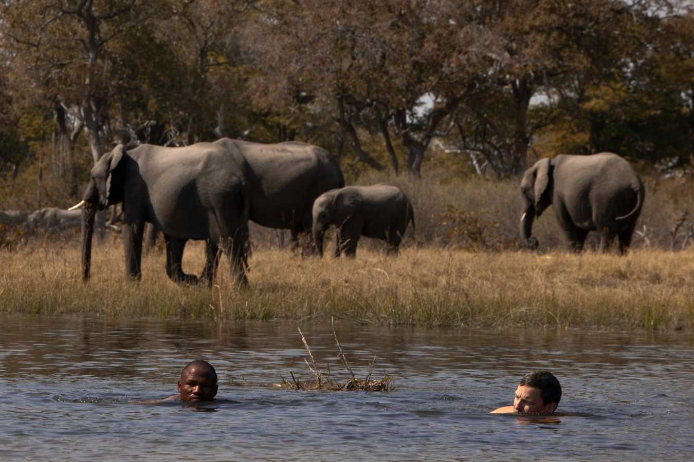 Cooling off - Selinda Explorers Camp