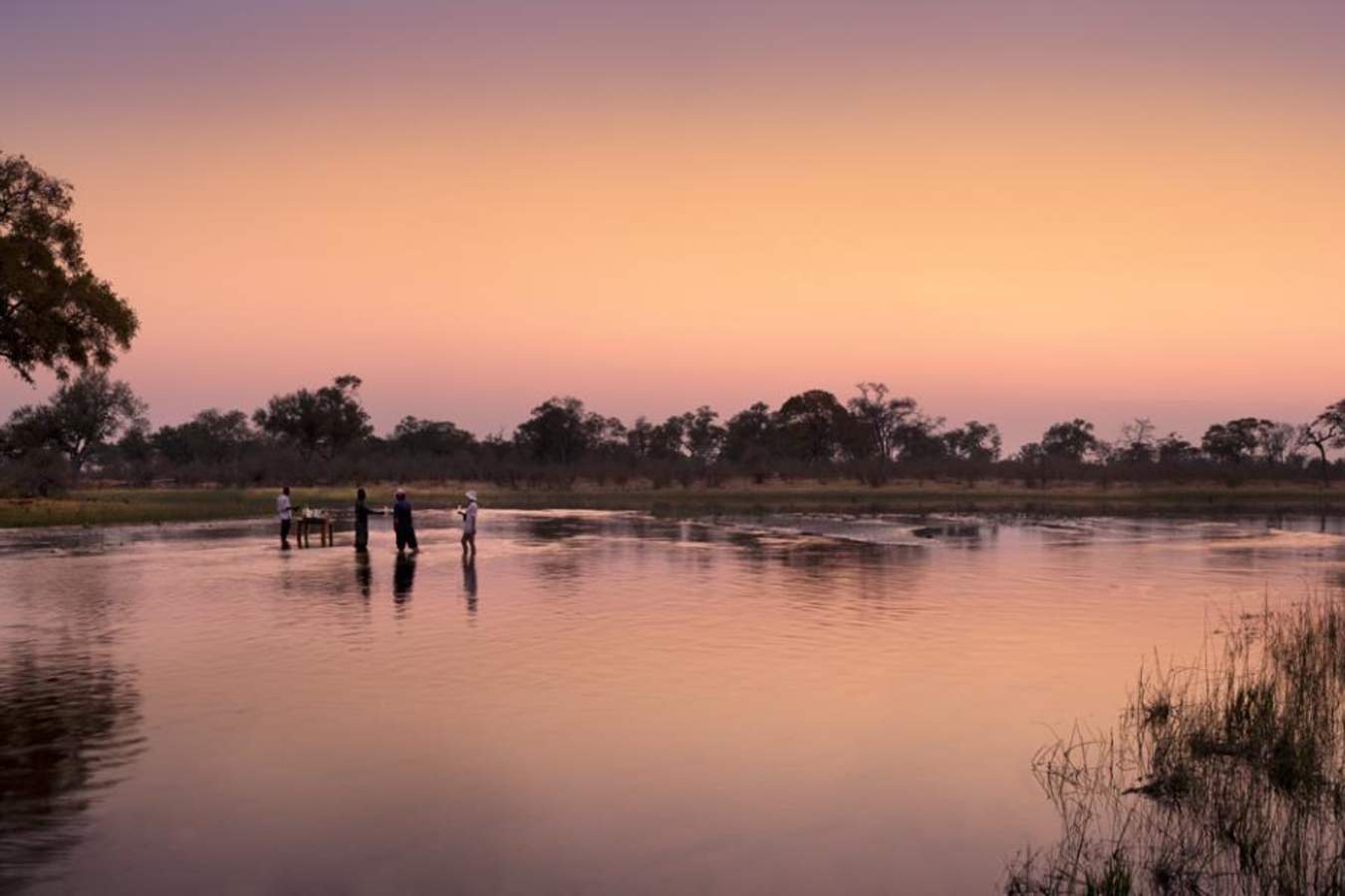 Midstream sundowners - Selinda Explorers Camp