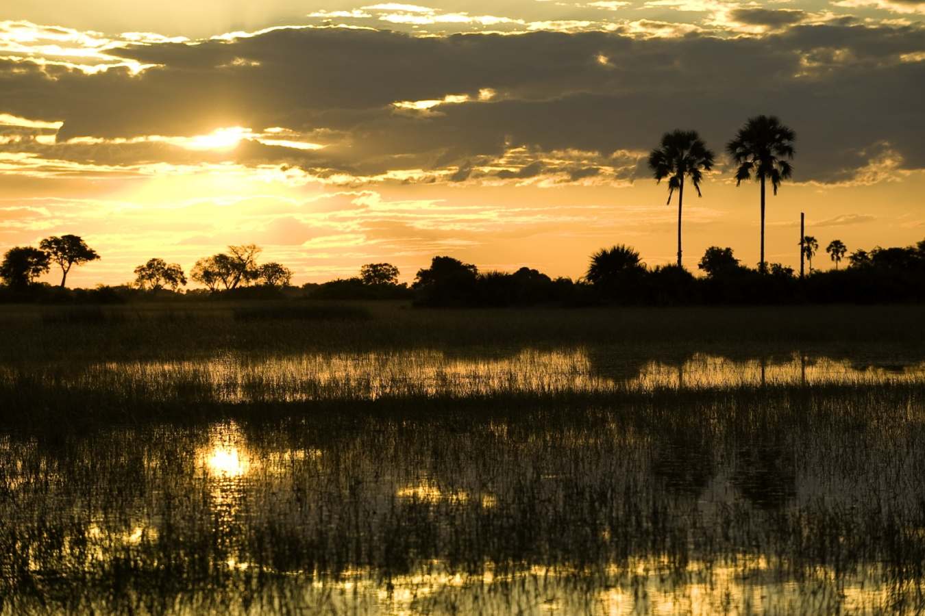 Sunset - Tubu Tree Camp