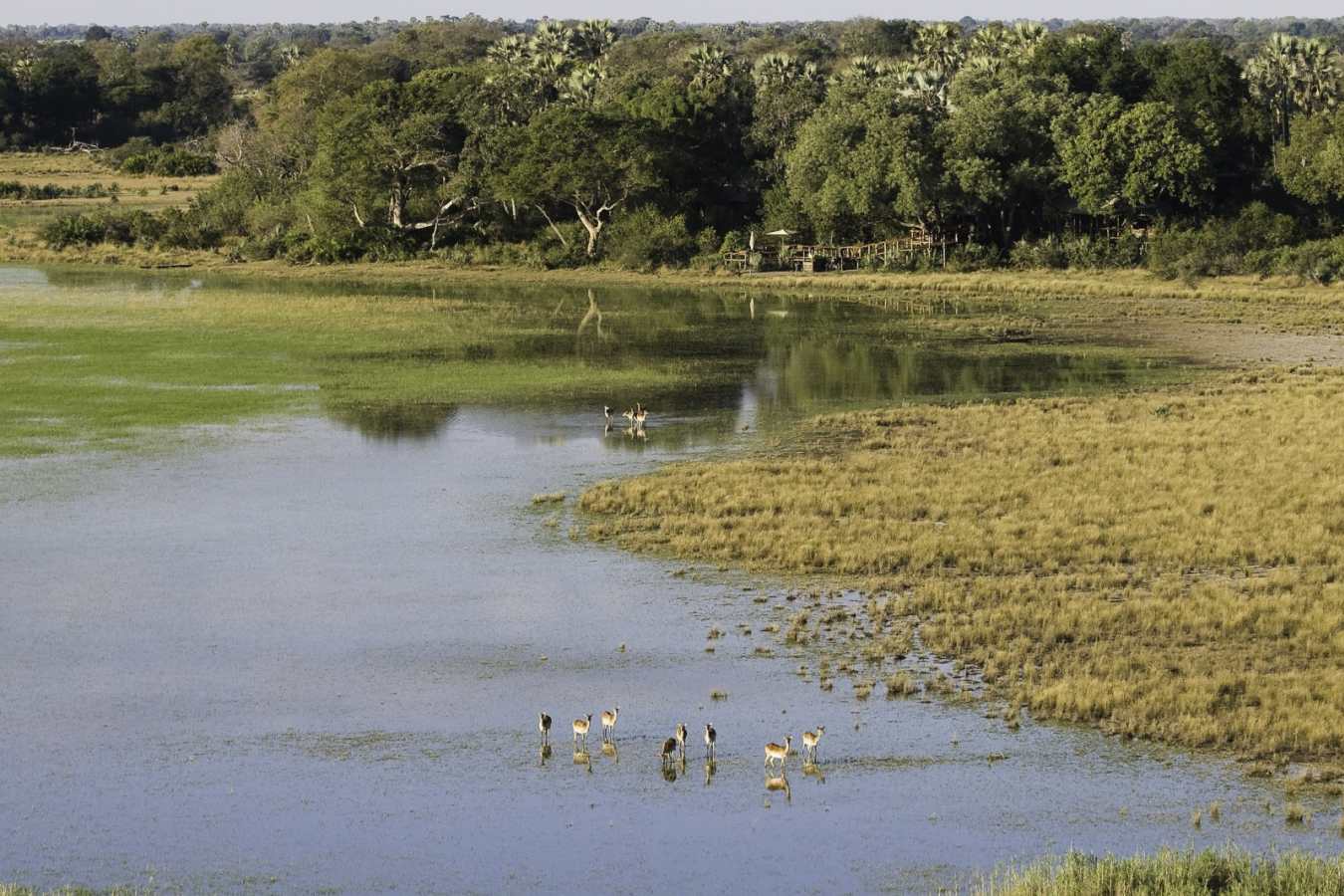 Floodplain - Tubu Tree Camp