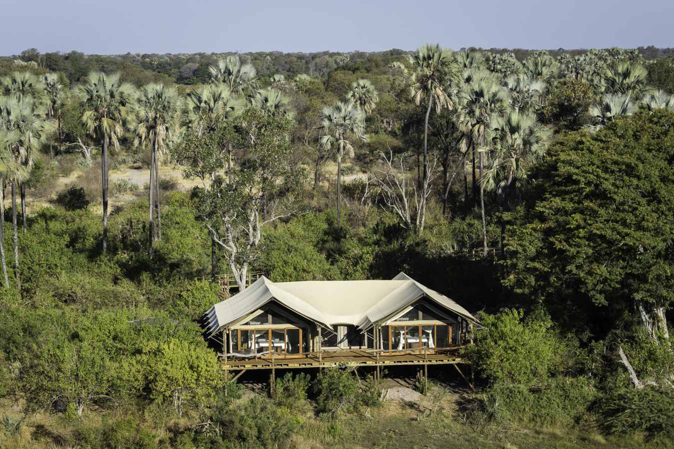 The family tent - Tubu Tree Camp