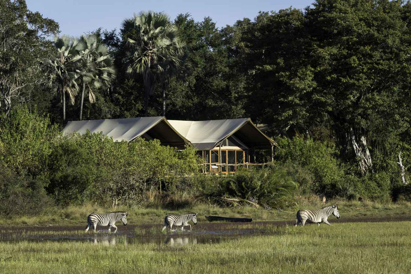 Tubu Tree Camp