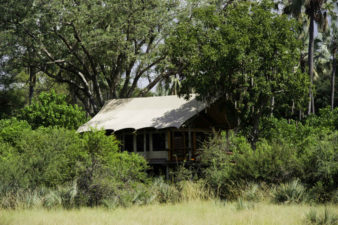 Tubu Tree Camp