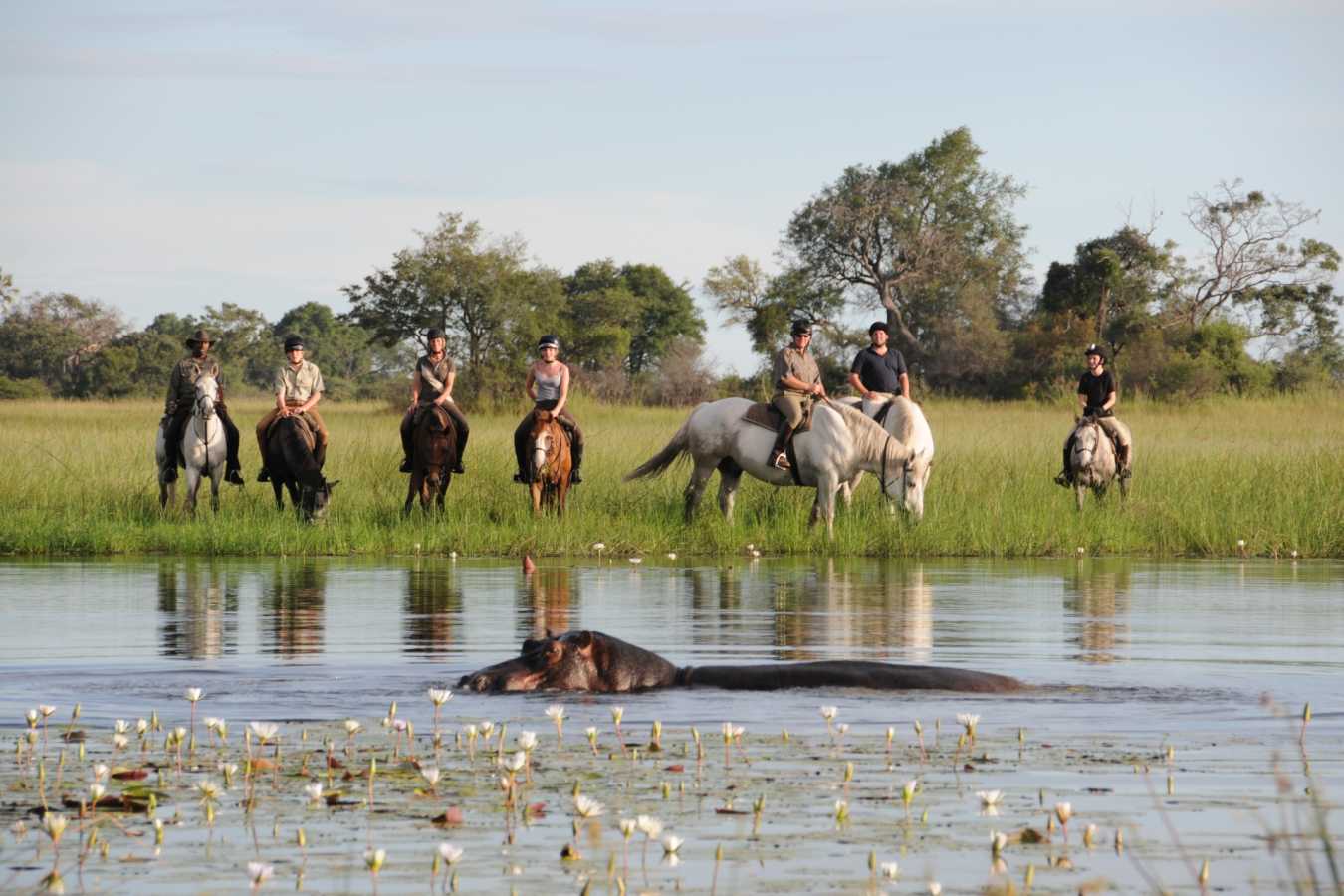 Watching a hippo - Wild Botswana Riding Safari