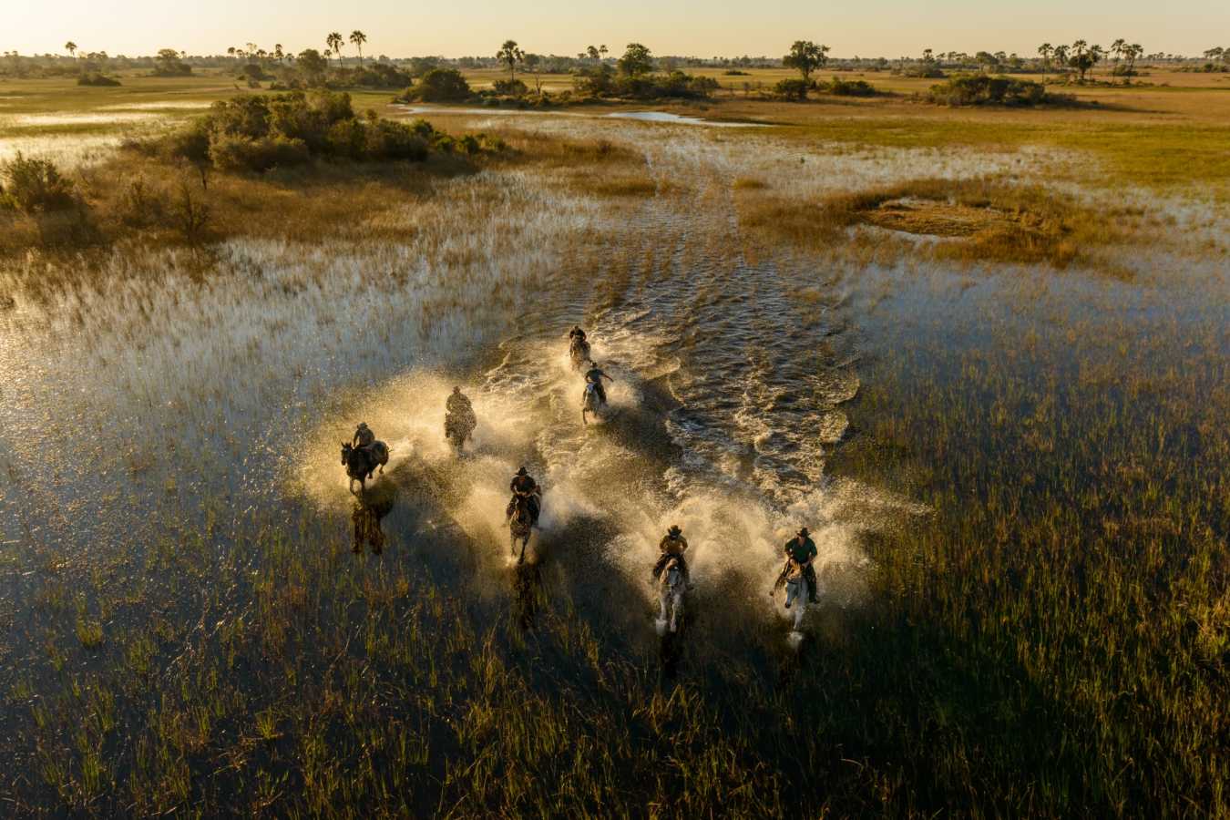 Horse riding in the Delta - Wild Botswana Riding Safari