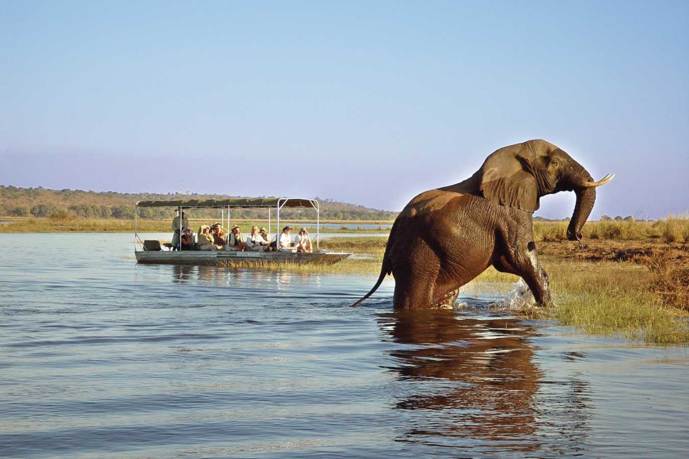 Boat trip on Zambezi - Highlights of Victoria Falls & Botswana