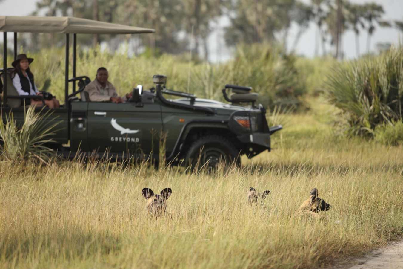 beyond game drives