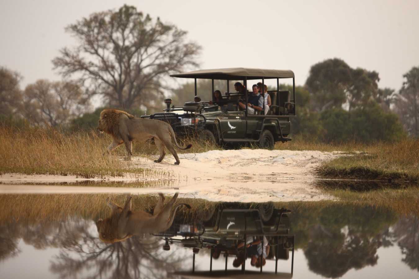 Sandibe Game drive