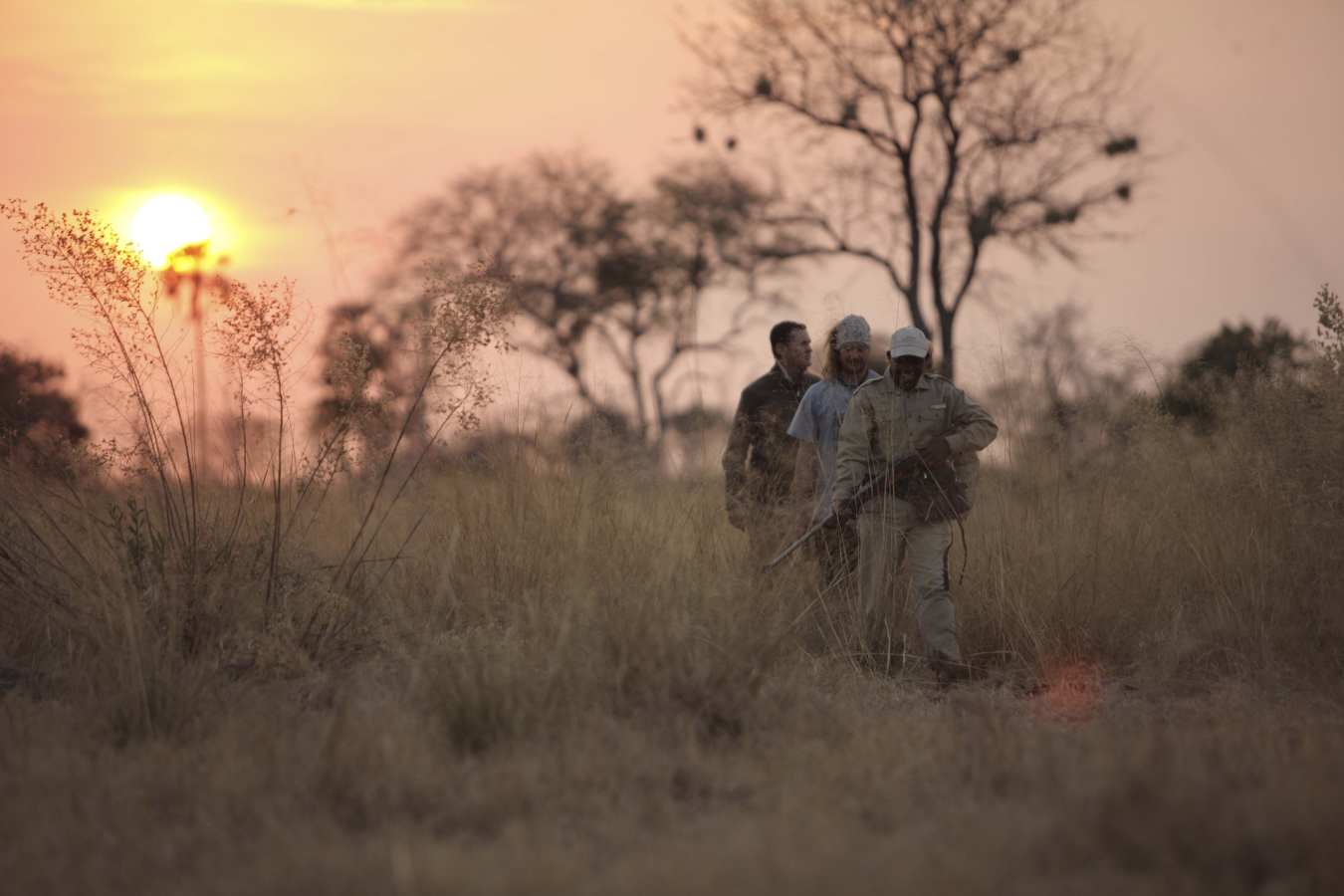 Sandibe walking safari
