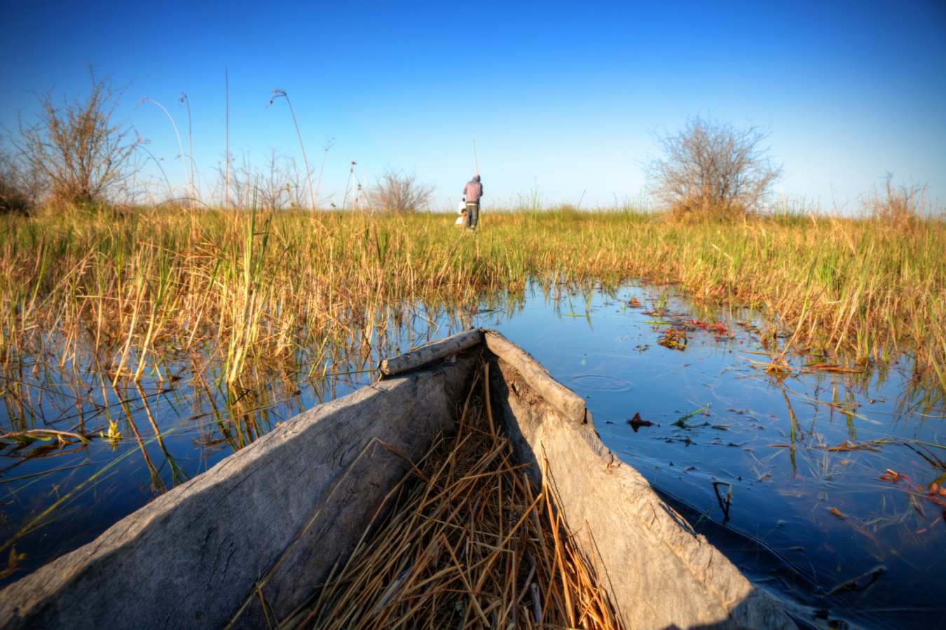 Mokoro - Essential Botswana