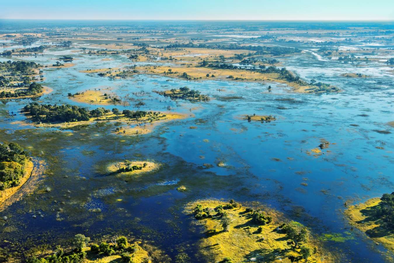 Okavango Delta during flooding - Essential Botswana