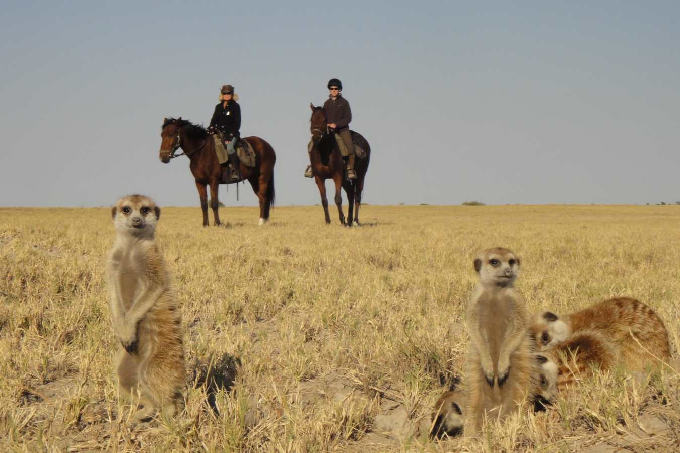 Riding in the Makgadikgadi pans - The Delta and Salt Pans