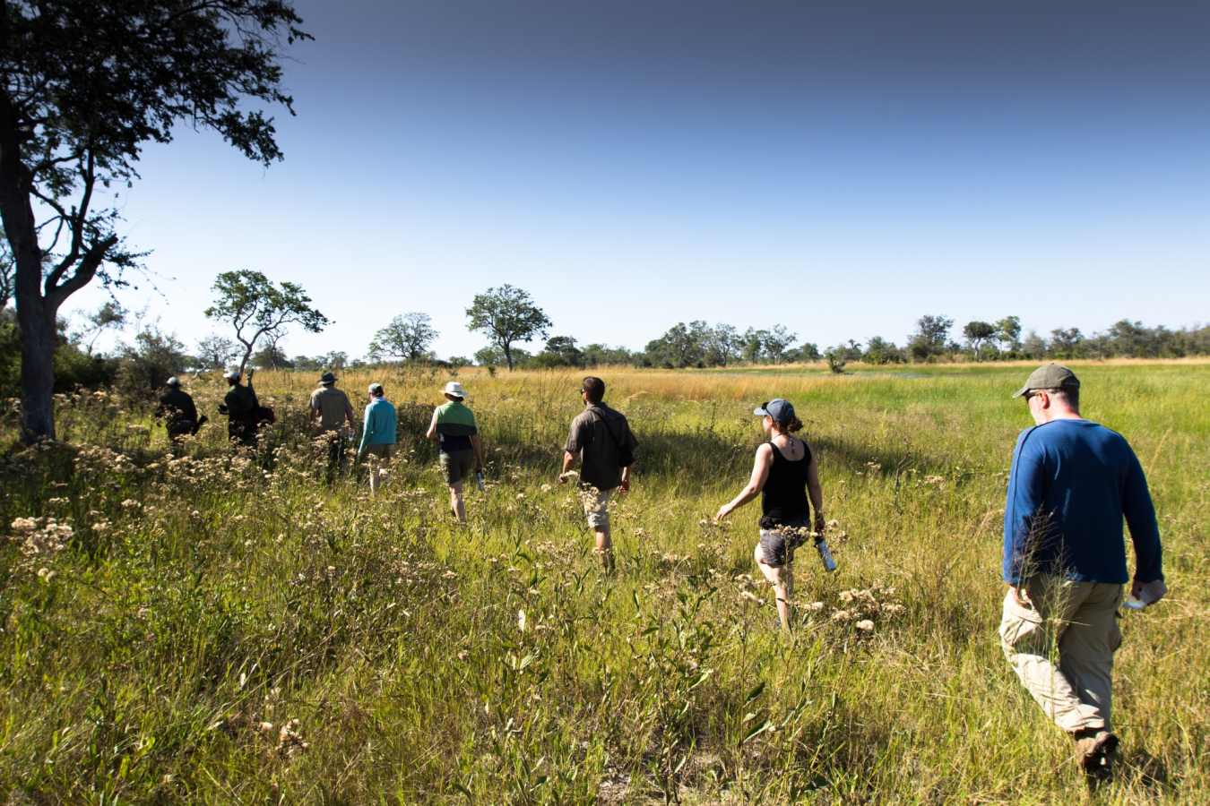 Bush walk in Selinda - Botswana for Teenagers