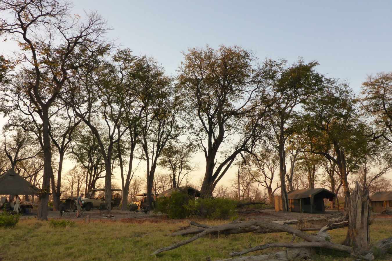Camp set-up - Wild Botswana
