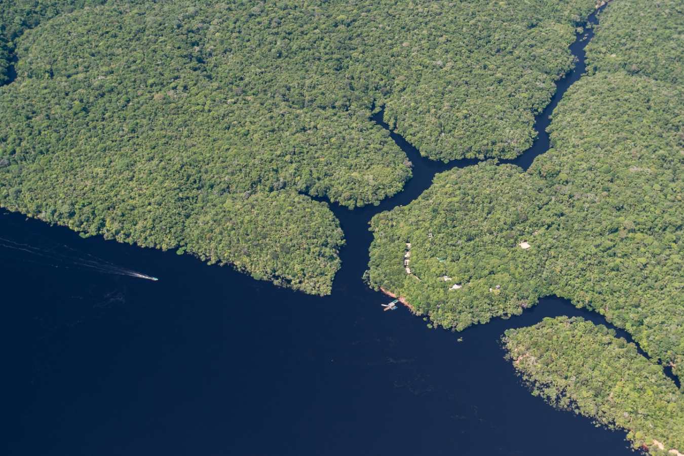 Aerial Views - Anavilhanas Jungle Lodge