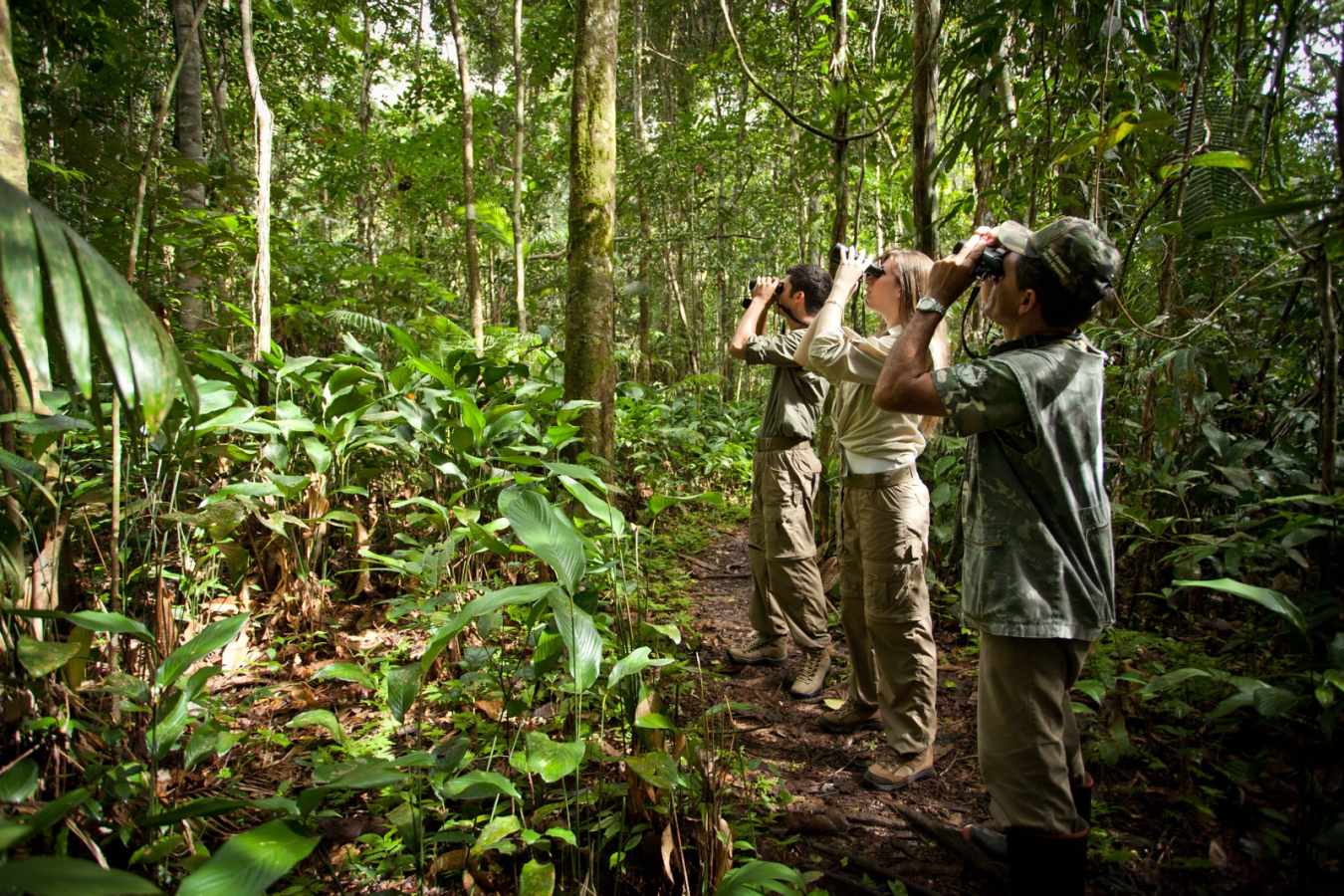 Wildlife watching - Cristalino Jungle Lodge