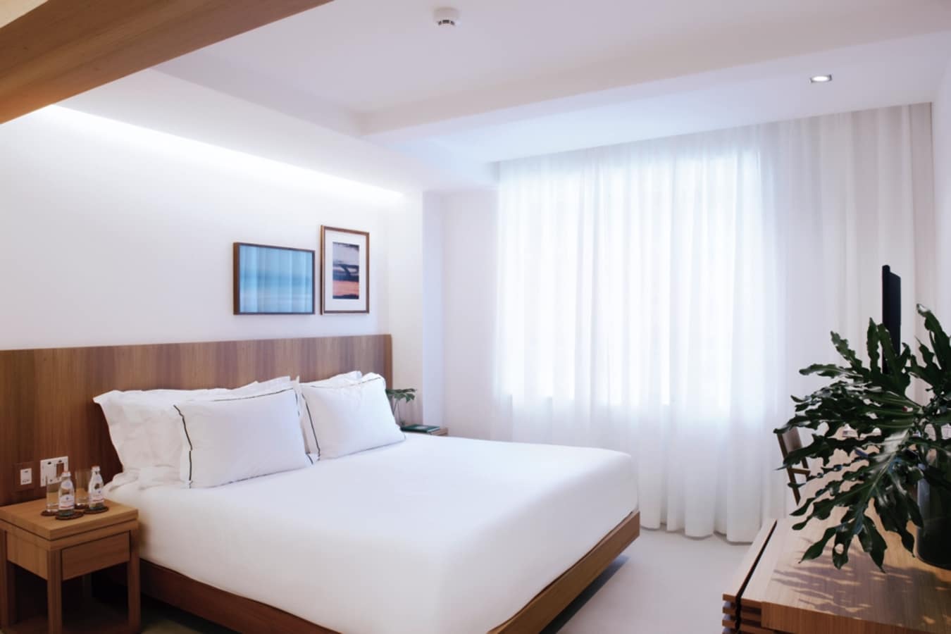 Ocean View Standard
