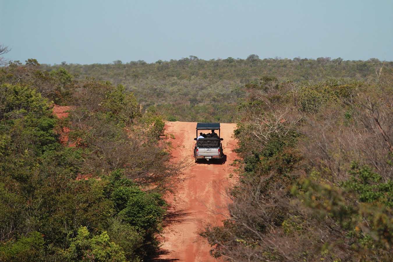Jeep safaris