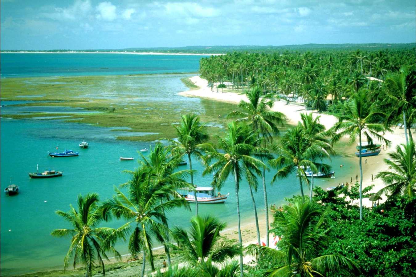 Beach View - Praia do Forte Eco Resort & Thalasso Spa