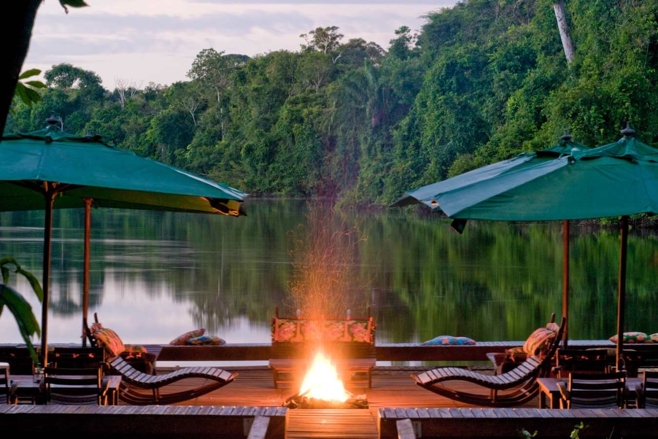 Wild Brazil Amazon  Pantanal Adventure