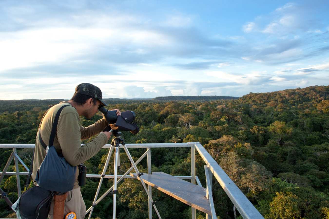 Wild Brazil Amazon  Pantanal Adventure