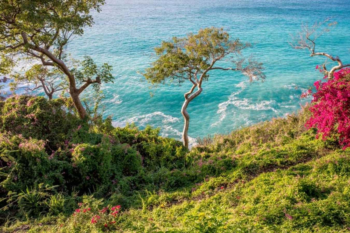 Guana Island
