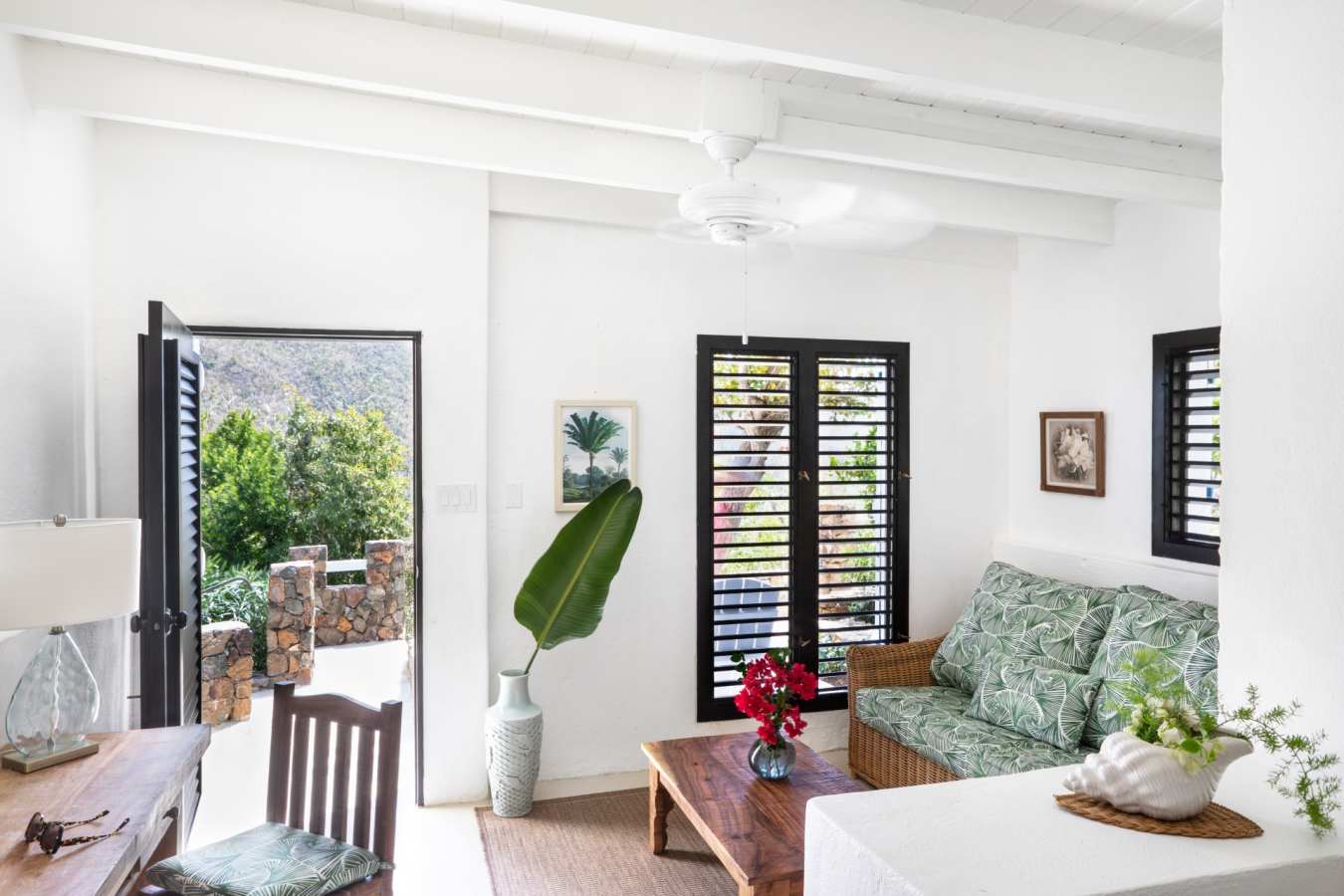 Guana Island
