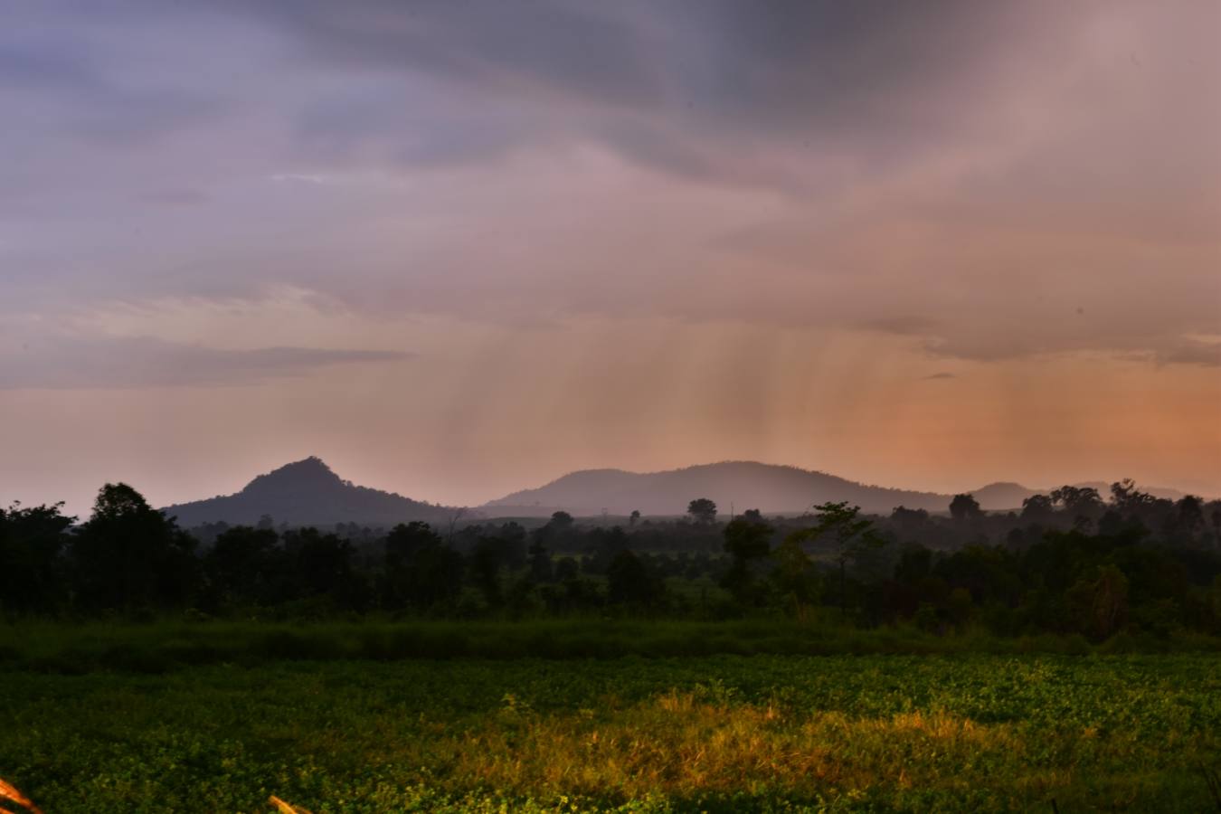 Nature Corridor - Shinta Mani Wild