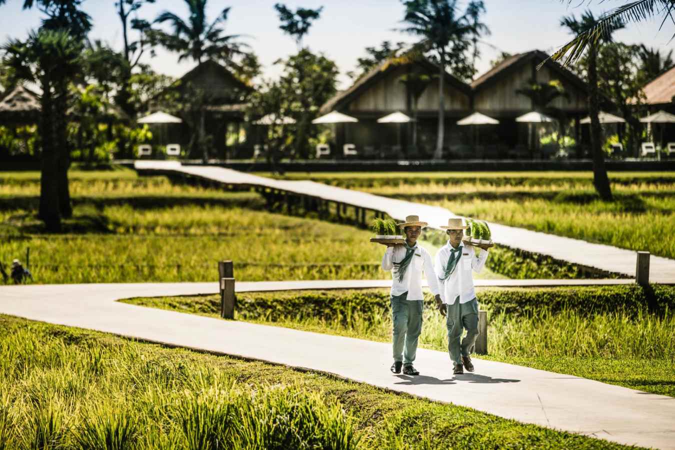 Grounds - Phum Baitang