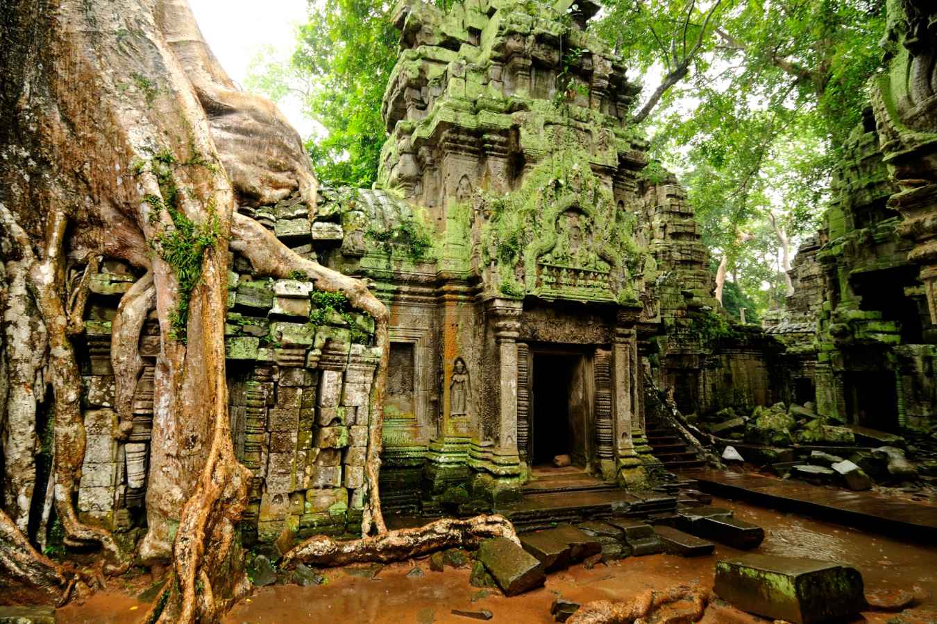 Ta Prohm 