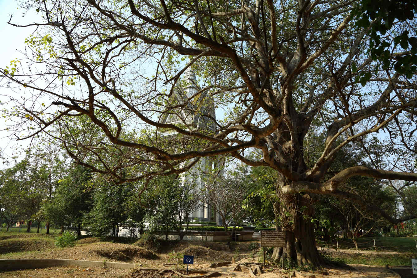 Killing Fields
