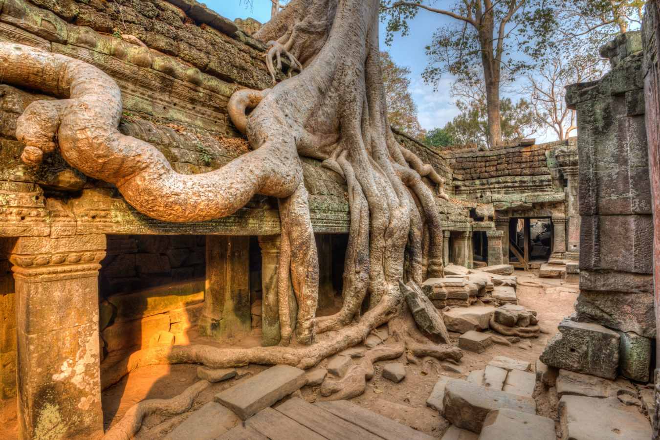 Ta Prohm - Honeymoon to Indochina