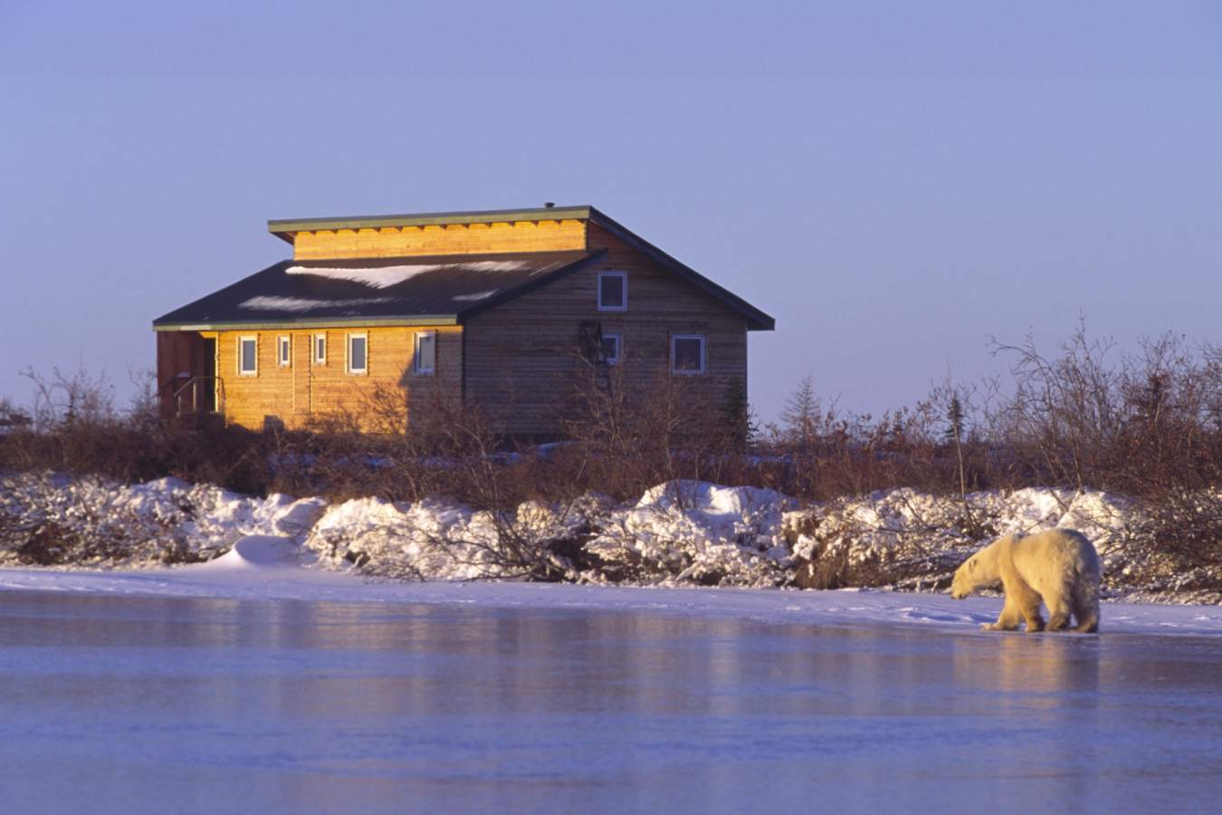 Lodge exterior - Dymond Lake Lodge