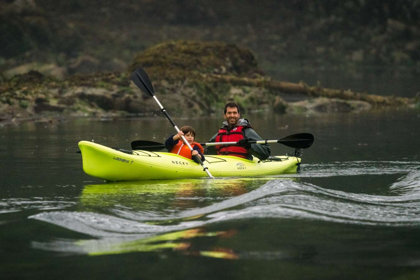 Kayaking at Farewell Harbour