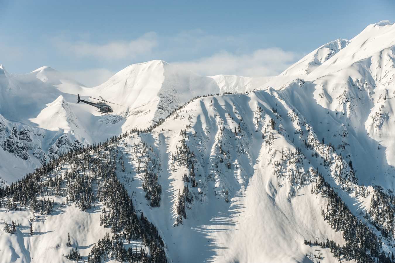 Last Frontier Heliskiing 